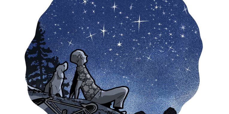 Why Do Stars Really Twinkle?