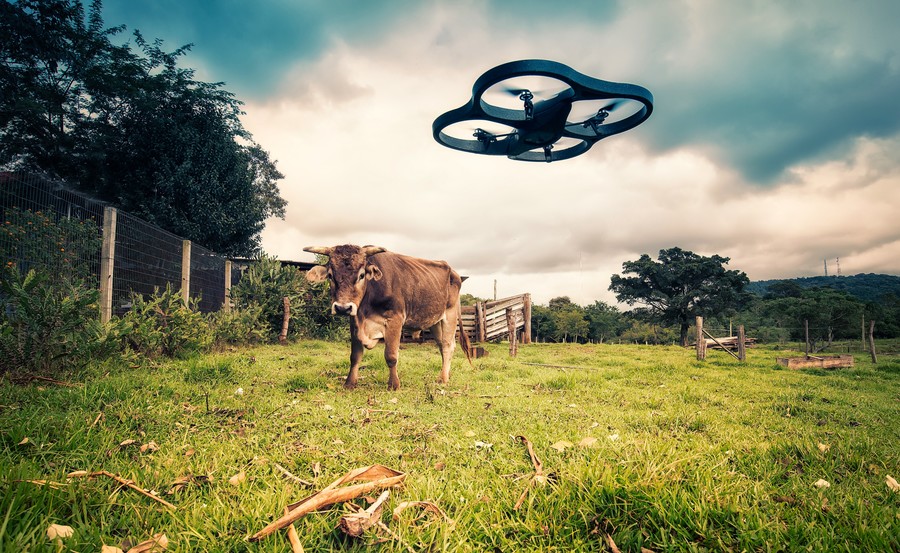 Farmers Eye Drones For The Future