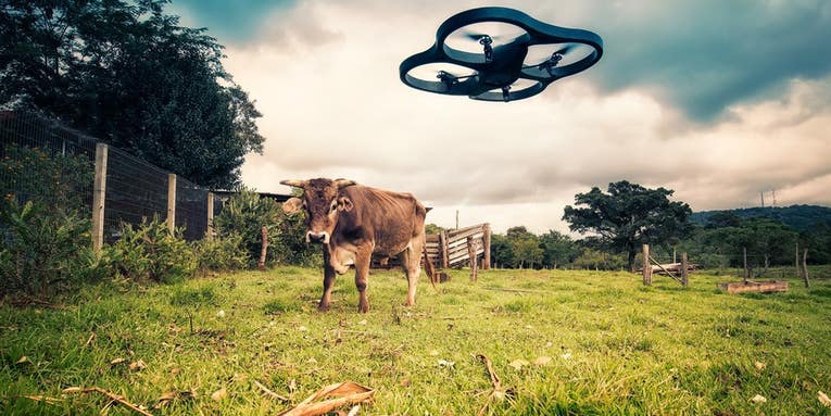 Farmers Eye Drones For The Future