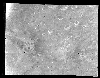 Mars still looks smoother overall with heavy cratering as seen from Mariner 6.