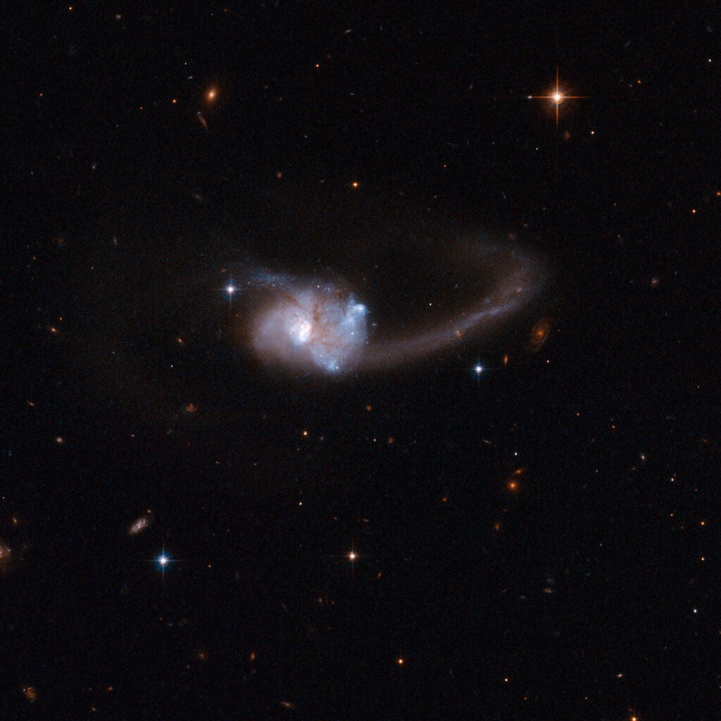 ESO 286-19 is a peculiar galaxy that consists of what were originally two disk galaxies that are now in the midst of an ongoing collision. It has undergone a burst of star formation that ended about eight million years ago. ESO 286-19 has a long tail to the right of the main body, and a shorter tail curving to the left. The presence of the tails is a unique signature of the merger process: gas and stars were stripped out by rippling gravitational pulls as the galaxies collided and the outer regions of the parent galaxies were torn off. These tidal tails can persist long after the galaxies have finally merged. ESO 286-19 is located 600 million light-years away from Earth and is an exceptionally luminous source of infrared radiation.