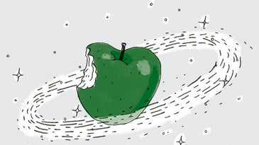 I developed a sturdier, crisper, and yummier apple