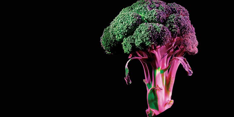 How We’ll Grow Food In The Future