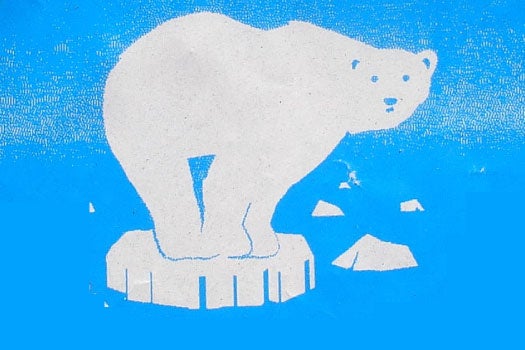 Daily Infographic: What Is The Real Status Of The Polar Bears?
