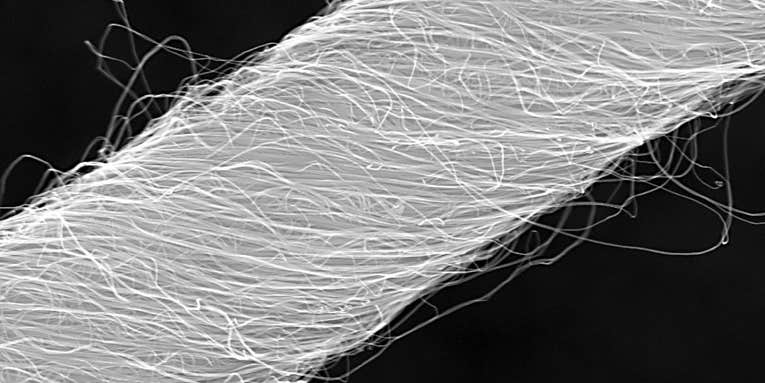 You Probably Have Carbon Nanotubes In Your Lungs