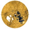 Data from Cassini's RADAR instrument helped astronomers build this map. It shows liquid methane lakes on the surface of Saturn's moon, Titan. <a href="https://www.popsci.com/article/technology/cassini-spots-mosaic-extraterrestrial-seas/">Learn more about the lakes</a>.