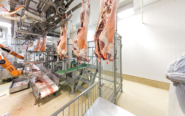 Industrial Food Machine of the Day: Automated Lamb Boner
