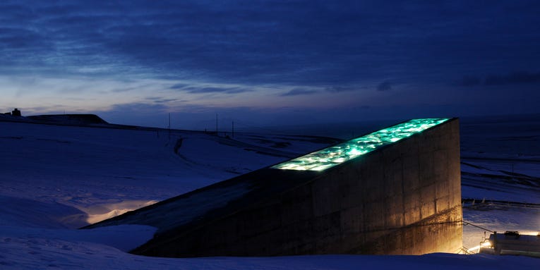 Middle Eastern seed bank re-deposits backups into Svalbard’s doomsday vault