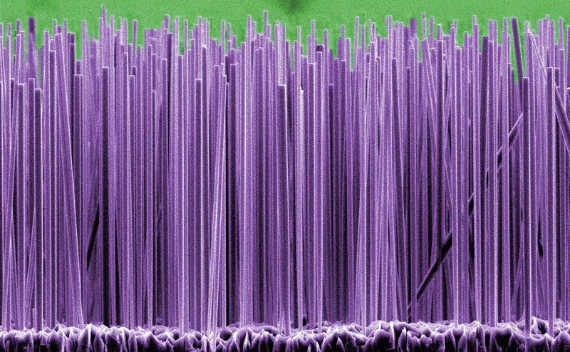 This image from the National Institute of Standards and Technology shows ultraviolet light-emitting nanowires. The gallium nitride wires, grown on a silicon substrate, are considered a step toward <a href="http://www.worldsciencefestival.com/2014/12/photo-day-light-wire/">nanoscale laser technology</a>. Color has been added to the image.
