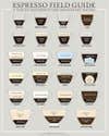 A Field Guide To Caffeinating Yourself Into Oblivion [Infographic]