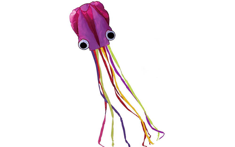HENGDA KITE Software Octopus Flyer Kite with Long Colorful Tail for Kids