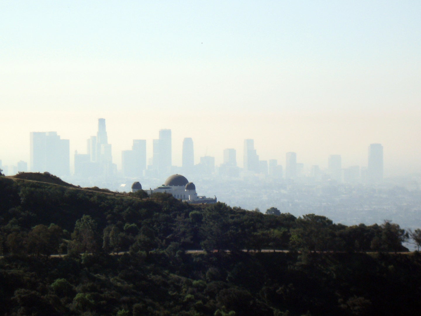 California Plans To Drastically Cut Carbon Emissions By 2030