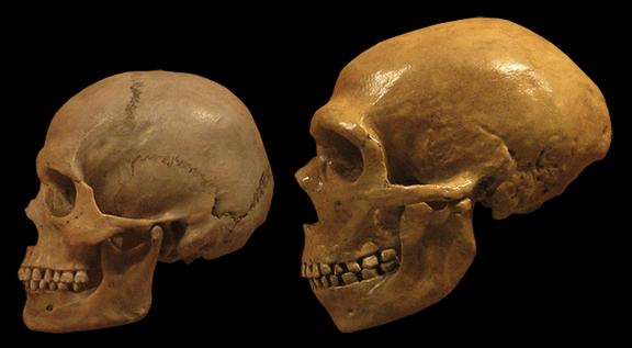 Our Neanderthal DNA May Help Scientists Understand Depression And Addiction
