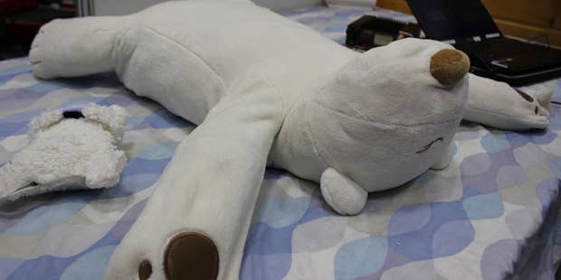 Video: Japanese Robotic Polar Bear Gently Smacks Snorers in the Face