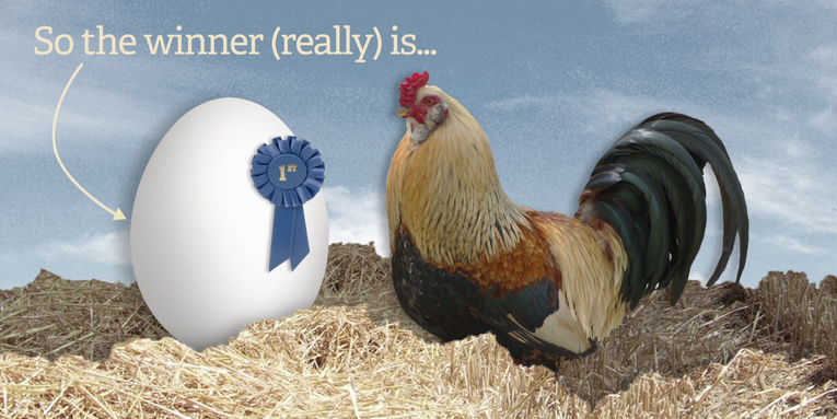 Which Came First, The Chicken Or The Egg? [Video]