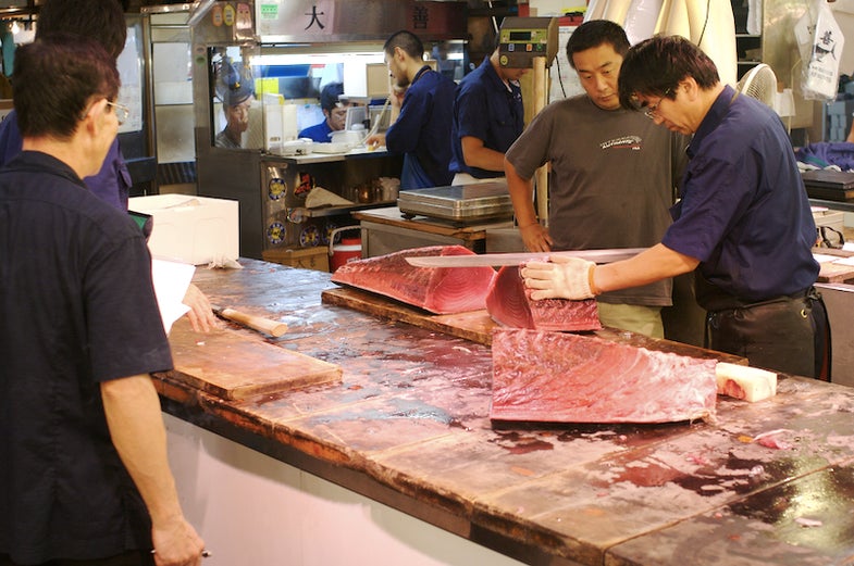 Europe Announces New Step Towards Farming Endangered, Delicious Bluefin Tuna