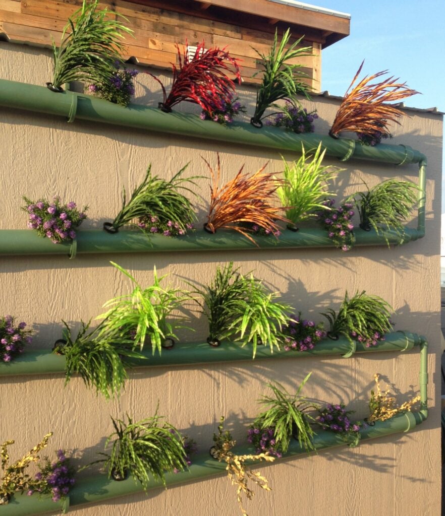 The vertical garden at NEST Home used gravity to pipe water to plants.