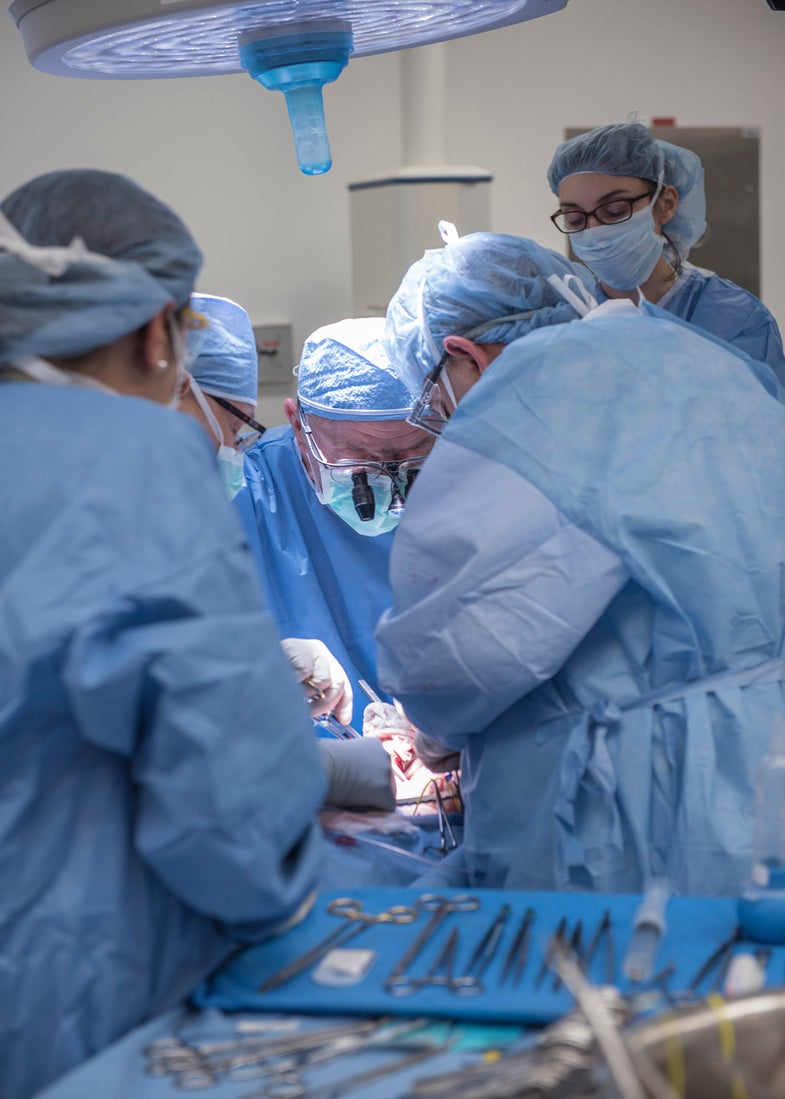Uterine Transplant Sugery