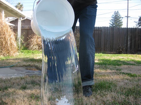 A person dumping a full 5-gallon bucket of water out onto the lawn in a fenced-in yard.