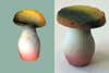 A 3D model of a mushroom and a 3D printed version of that model.