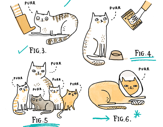 purring Cats in various situations