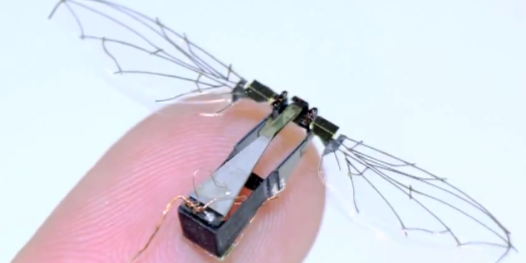 Video: The Air Force’s ‘Micro-Aviary’ Gives Tiny Flying Robots a Place to Call Home