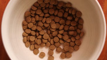 What’s In Your Dog’s Dinner?