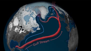Something weird is happening to the Gulf Stream current