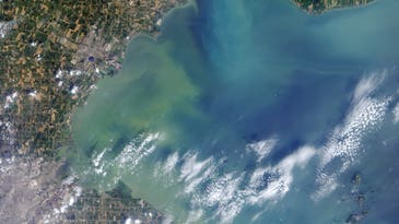 This Is Lake Erie’s Toxic Algal Bloom As Seen From Space