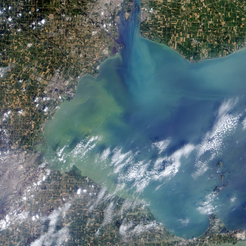 This Is Lake Erie’s Toxic Algal Bloom As Seen From Space