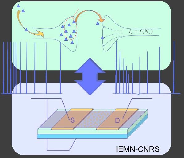 French Scientists Build First Transistor That Mimics Brain Connections