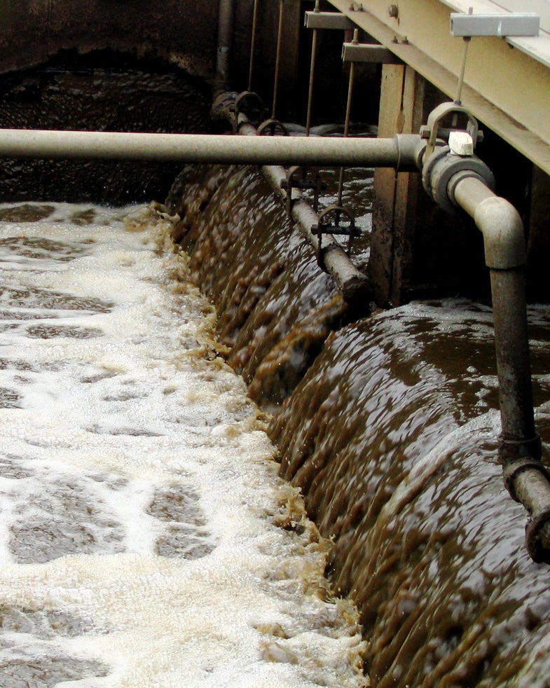 Scientists are scrutinizing city sewage to study our health