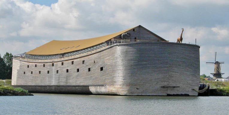 Which Animal Species Would Fare Best After Noah’s Ark?