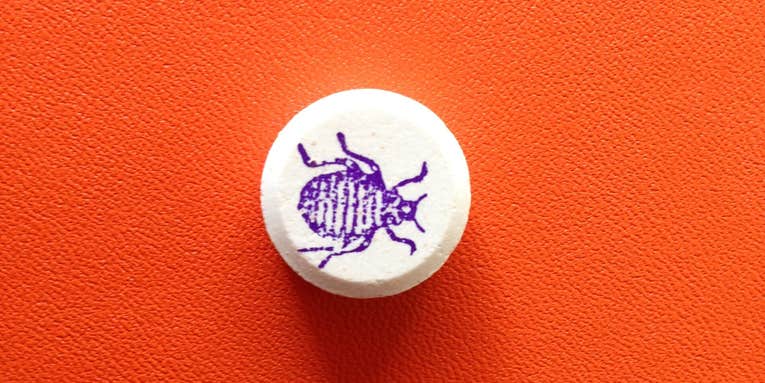Can Taking A Pill Before Bed Get Rid Of Bed Bugs?