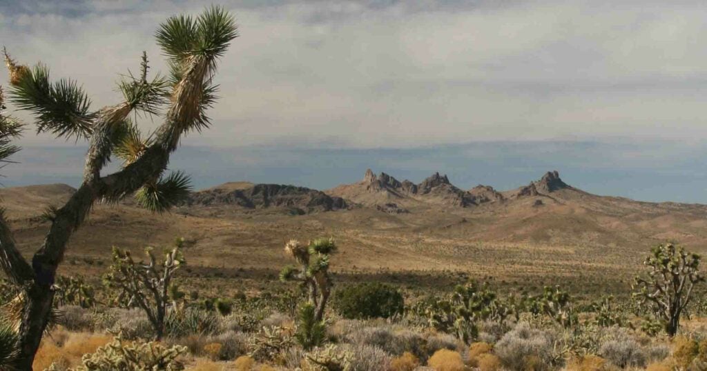 The more than 20,000 acre swath of land within the Mojave Desert has both natural and archaeological significance. With its Joshua trees and desert grasslands, the protected area also contains important water sources and species like golden eagles and mountain lions. And the site also has Native American artifacts as well as the remains of old mining towns.