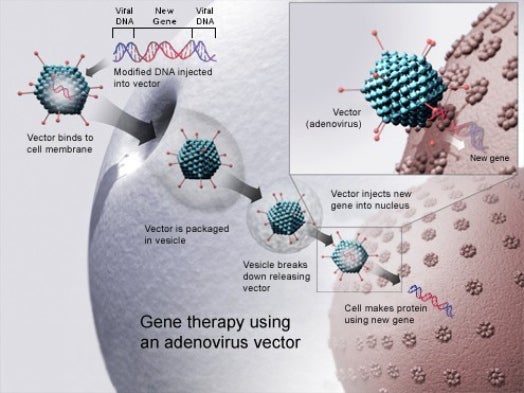 The West’s First Gene Therapy Goes On Sale Mid-2013