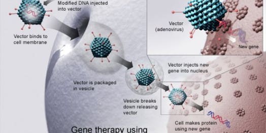 The West’s First Gene Therapy Goes On Sale Mid-2013