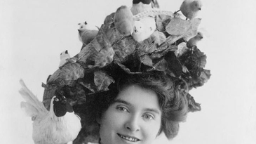 The Women Who Removed Birds From People's Hats
