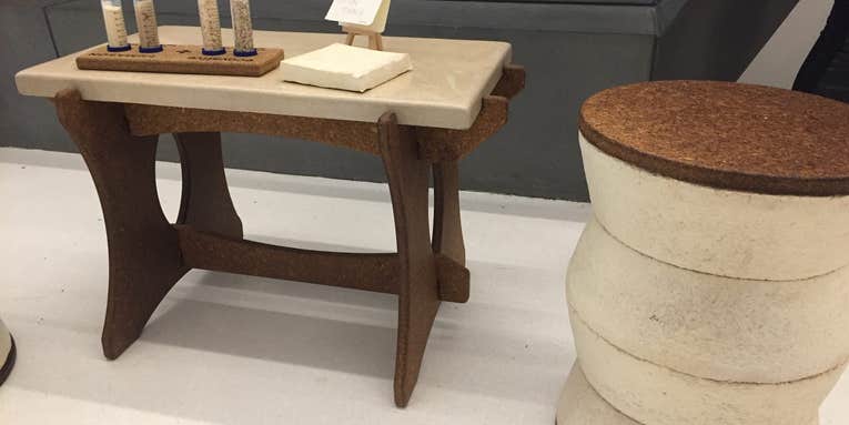 Now you can buy gorgeous furniture made of mushrooms