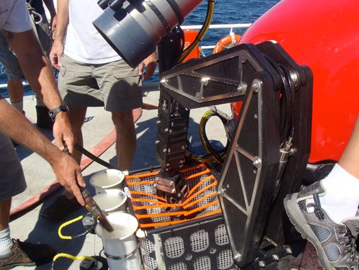 A so-called manipulator arm, controlled by the sub pilot, is used to collect samples from the sea floor. Specimens are gingerly placed in the basket or the white "quivers," which are equipped with lids.