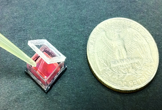 Video: Smart Petri Dish Images Cells Using a Smartphone Camera and Legos