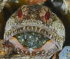 This photo, taken from either a horrifyingly bad acid trip or Blue Heron Bridge in Riviera Beach, Florida, as claimed, shows a male Dusky Jawfish carrying eggs around. Judy Townsend of Florida caught the family portrait.