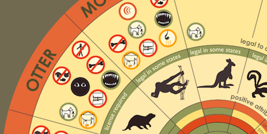 The Wheel Of Exotic Pets [Infographic]