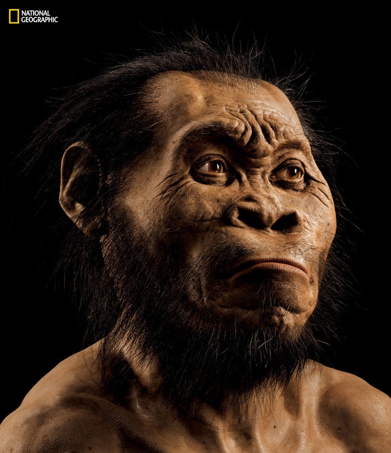 A reconstruction of Homo naledi’s head by paleoartist John Gurche, who spent some 700 hours recreating the head from bone scans. The find was announced by the University of the Witwatersrand, the National Geographic Society and the South African National Research Foundation and published in the journal eLife. Photo by Mark Thiessen/National Geographic PERMITTED USE: These images may be downloaded or are otherwise provided at no charge for one-time use for media/news coverage or promotion of the National Geographic Society’s H. naledi announcement and exclusively in conjunction thereof. Copying, distribution, archiving, sublicensing sale, or resale of the images are prohibited. DEFAULT: Failure to comply with the prohibitions and requirements set forth above will obligate the individual or entity receiving these images to pay a fee determined by the National Geographic Society. Mandatory usage requirements for National Geographic magazine photos 1-10: Please note: A maximum of 5 images total may be used online A maximum of 5 images total may be used on air A maximum of 3 images total may be used in print  ONLINE:  1. Include mandatory photo credit with each image  2. Must show the October cover of National Geographic magazine somewhere in the piece if using two (2) or more images 3. Provide a prominent link to http://natgeo.org/naledi 4. Mention that the images are from "the October issue of National Geographic magazine” BROADCAST: 1. Include mandatory photo credit with each image  2. Show the October cover of National Geographic magazine at some point during the segment  3. Provide a verbal mention of "the October issue of National Geographic magazine”  PRINT:1. Include mandatory photo credit with each image2. Must show the October cover of National Geographic magazine somewhere in the piece if using two (2) or more images3. Mention that the images are from "the October issue of National Geographic magazine”*Contact Carol K