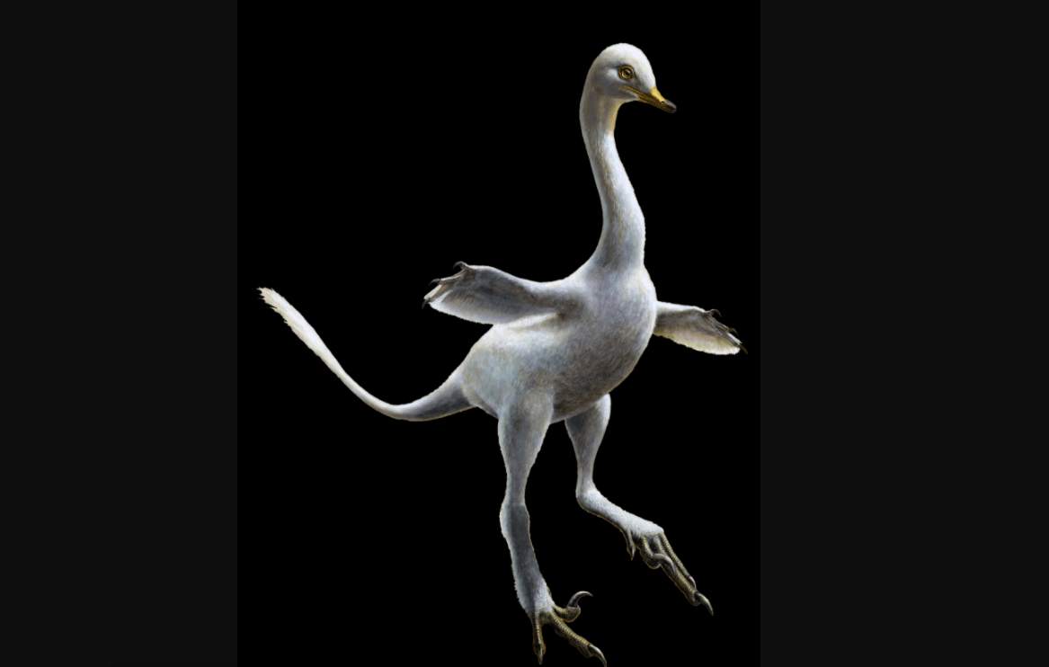 This new, duck-like dinosaur is so wacky scientists thought it was fake