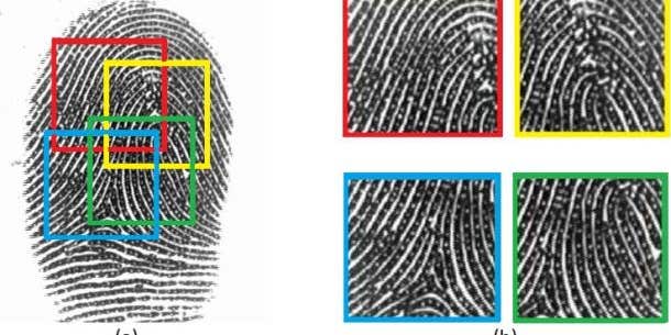 Computer scientists are developing a ‘master’ fingerprint that could unlock your phone