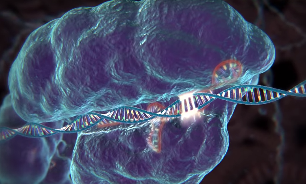 New, Alternative CRISPR Enzyme Could Make Genetic Edits More Precise