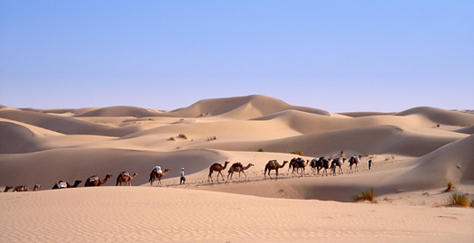Scientists Concoct a $2-Trillion-Per-Year Plan To Geoengineer The Sahara Desert