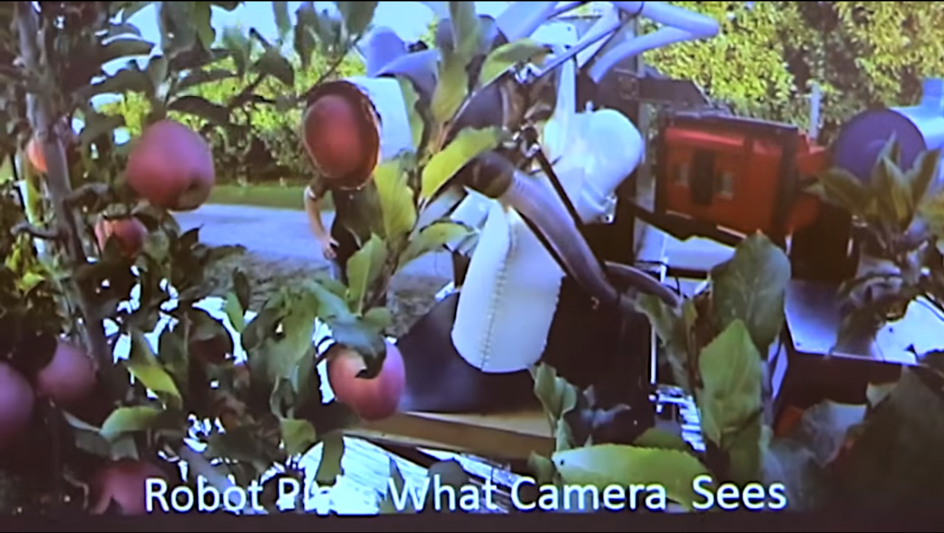 Apple-Plucking Robot Could Keep People Out Of Orchards