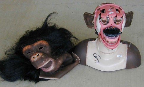 A monkey mask on the ground next to a skinned robotic monkey head.